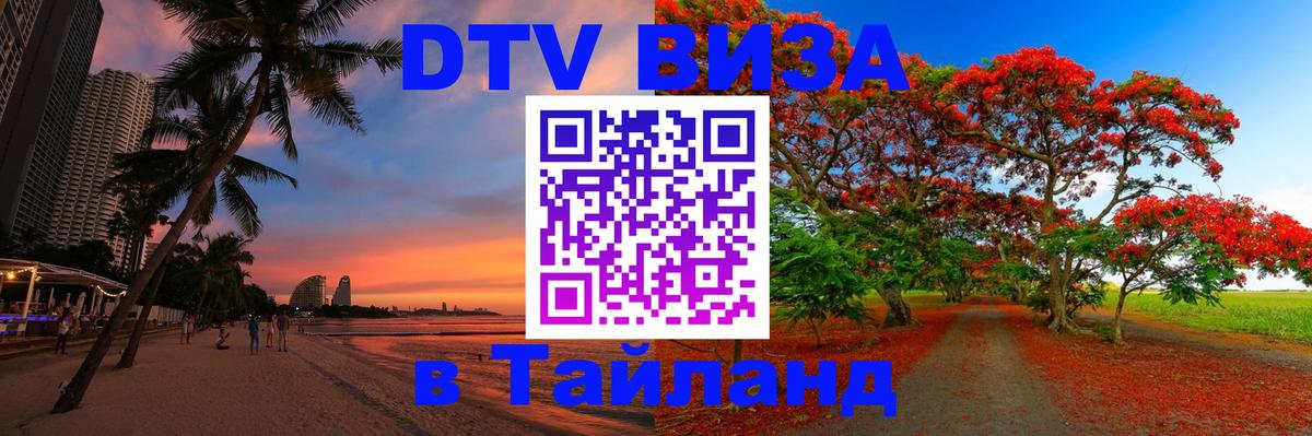 Сколько стоит DTV виза — актуальные цены, оформление даже без документов - Долгопрудный 